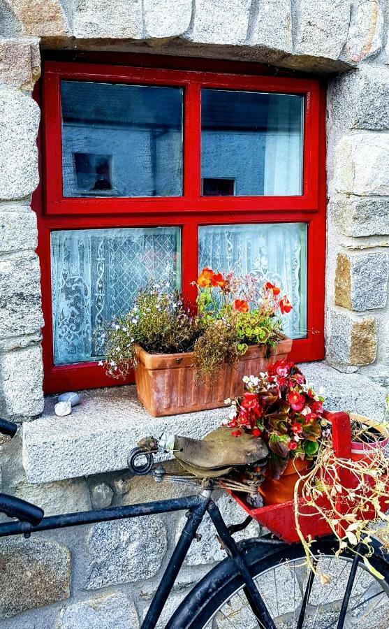 Turrock Cottage Shillelagh Kültér fotó