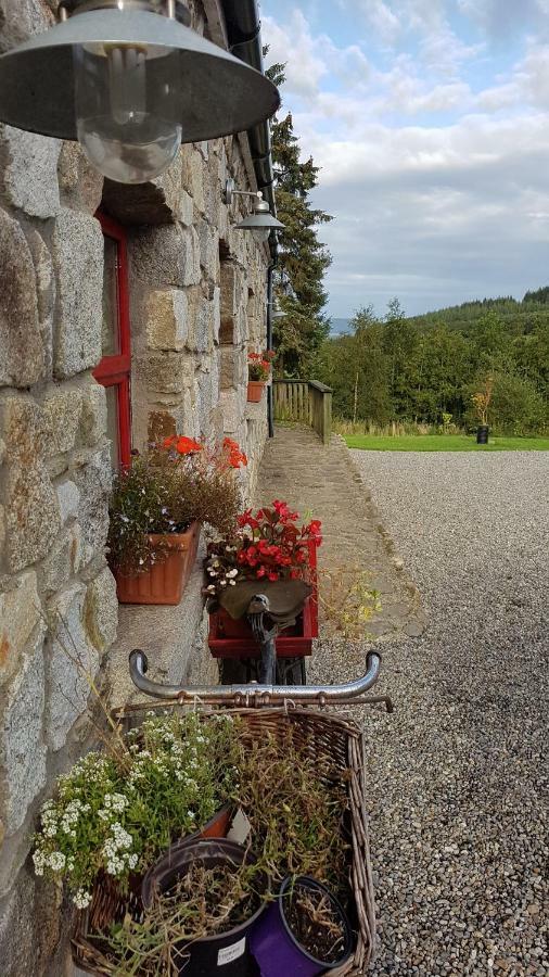 Turrock Cottage Shillelagh Kültér fotó